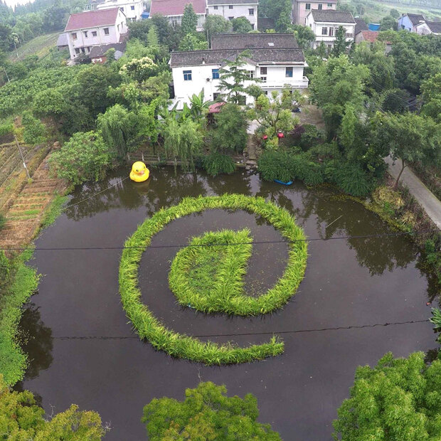 Ein chinesischer Bauer hat das @-Zeichen in einem Teich angepflanzt