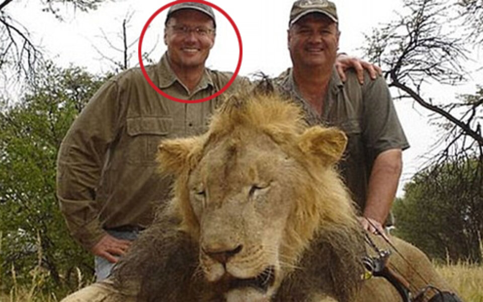 Dieser Zahnarzt killte Star-Löwe Cecil