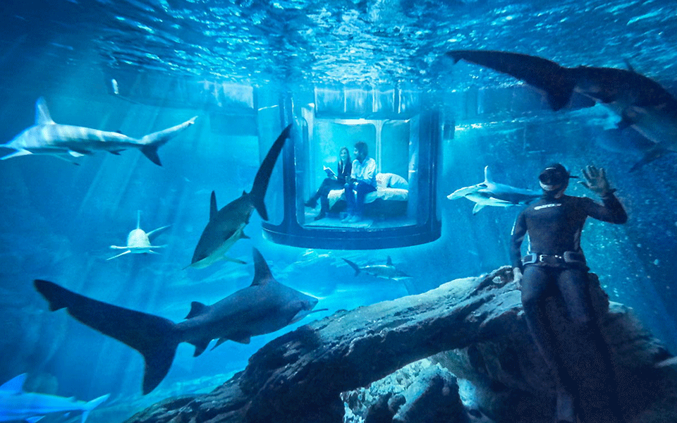 Hier schlafen Sie unter Wasser zwischen Haien