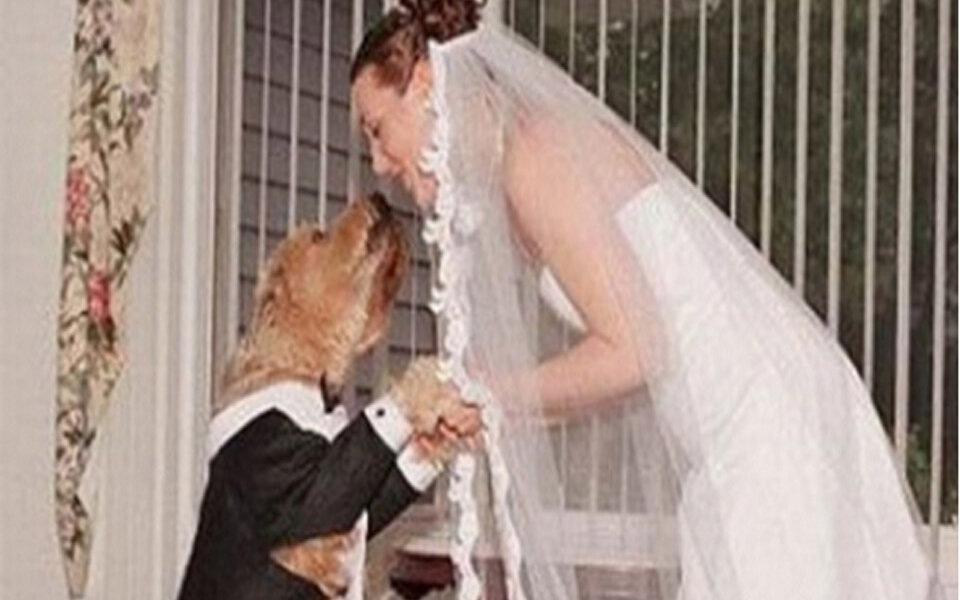 Frau heiratet Hund