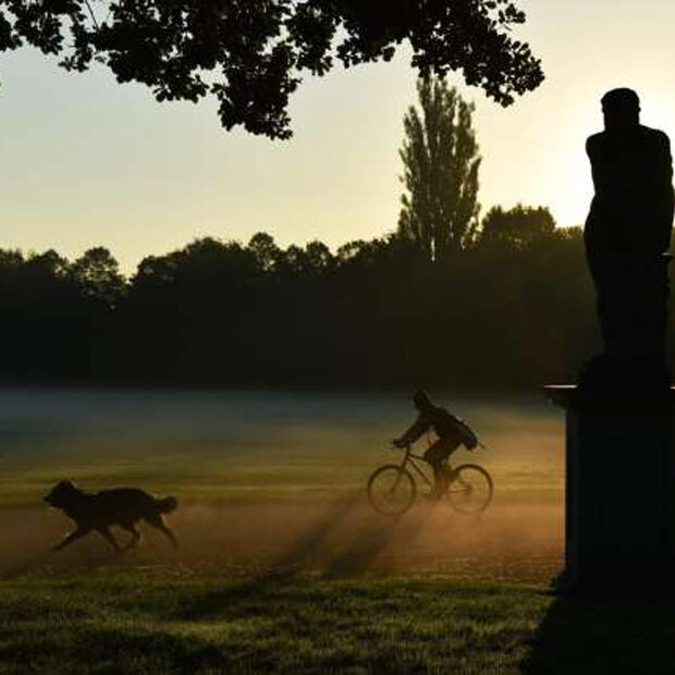 Ein Fahrradfahrer genießt mit seinem Hund in Kassel den nebeligen Herbst