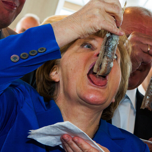 Fisch-Fan Merkel verschlingt Matjes-Hering in Saßnitz
