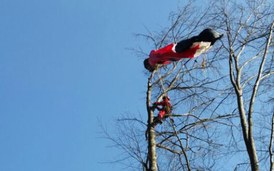 Paragleiter saß 1,5 Stunden auf Baum fest