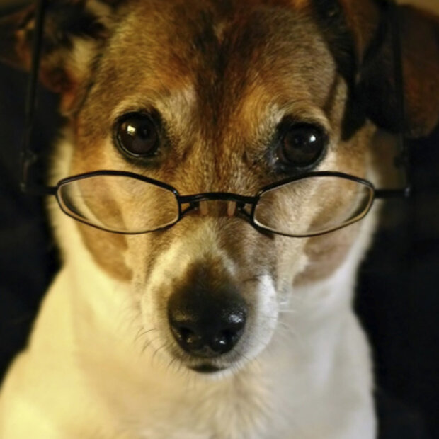 Professor Hund
