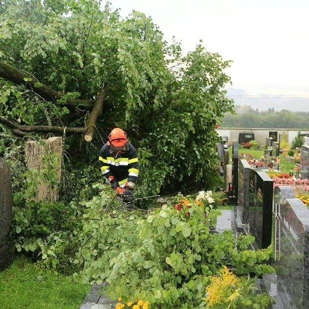 Umgestürzte Bäume verursachten am Friedhof von Großlobming 