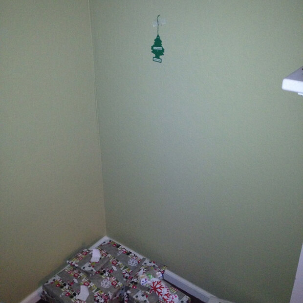 Ach schön, der Weihnachtsbaum ist auch schon da.